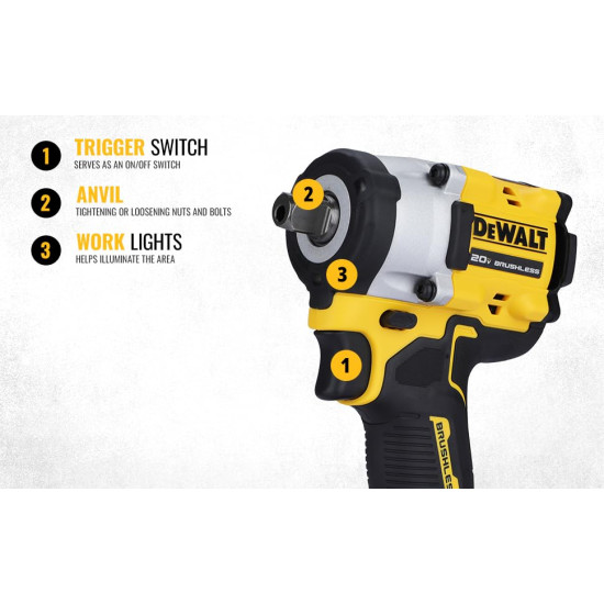 DEWALT DCF922M2-B1 1/2'' 20V Max Li-ion Reversible Cordless Brushless Compact Impact Wrench,610 Nm Torque with LED Ring Lighting (Bare Tool)